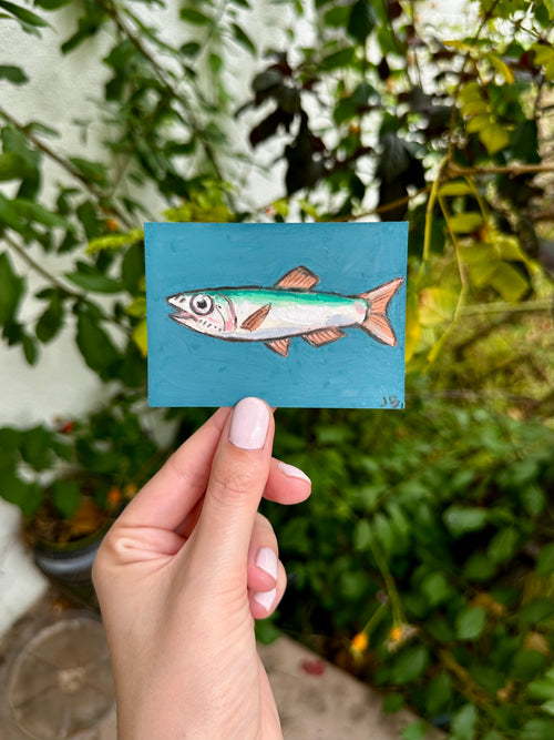 Anchovy ACEO (2.5x3.5”)