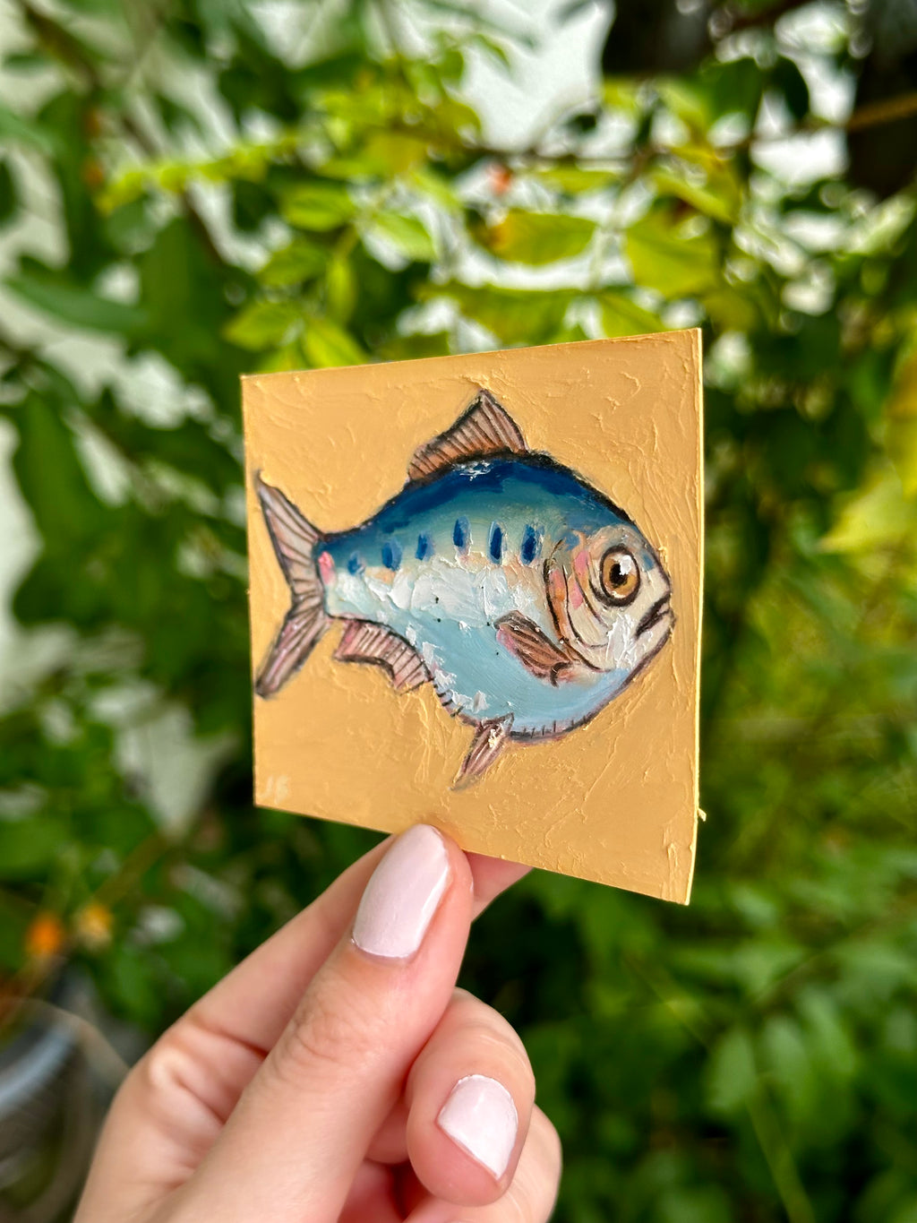 Clupea Alosa fish ACEO (2.5x3.5”)