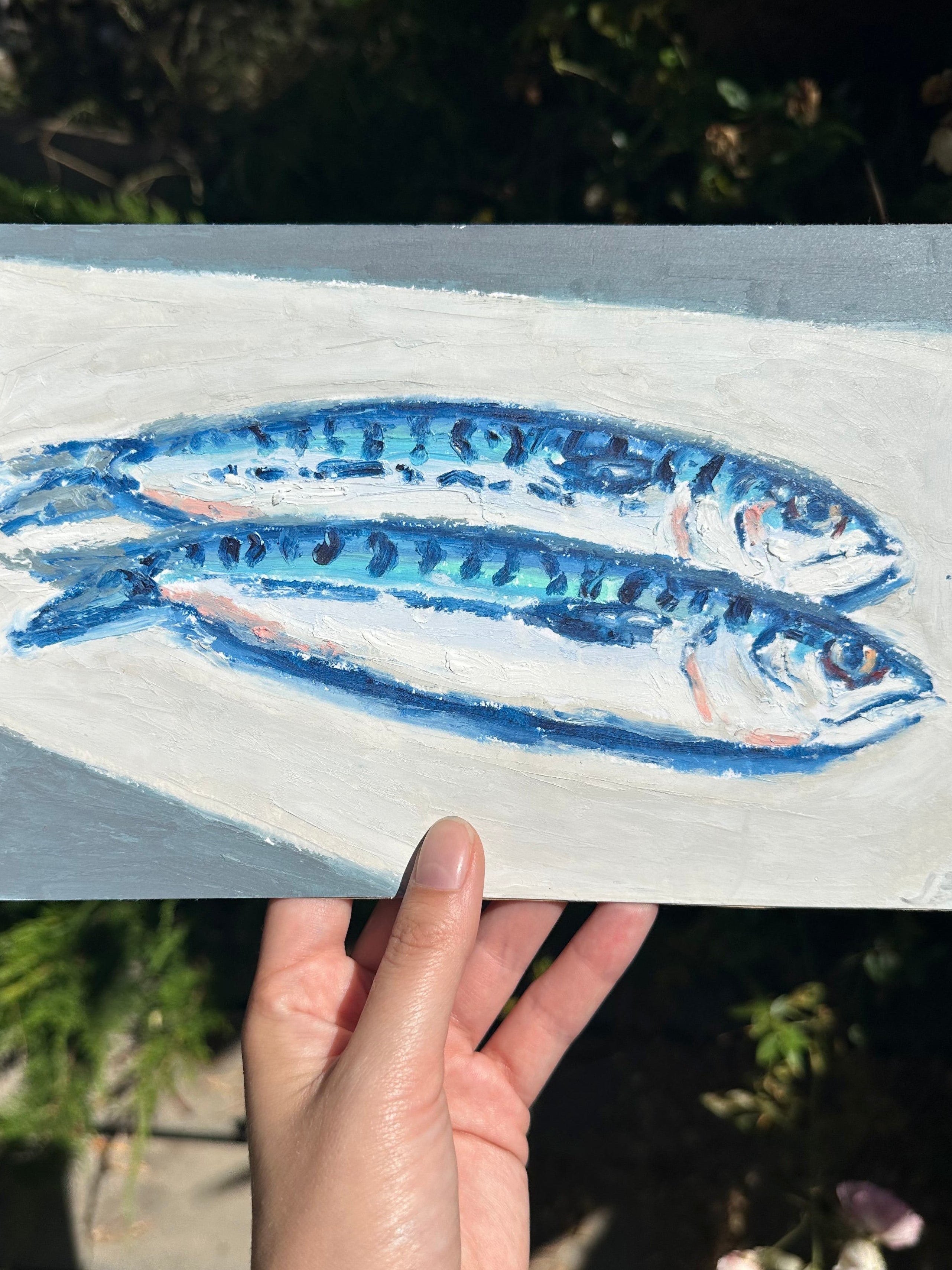 Mackerel 6x9”