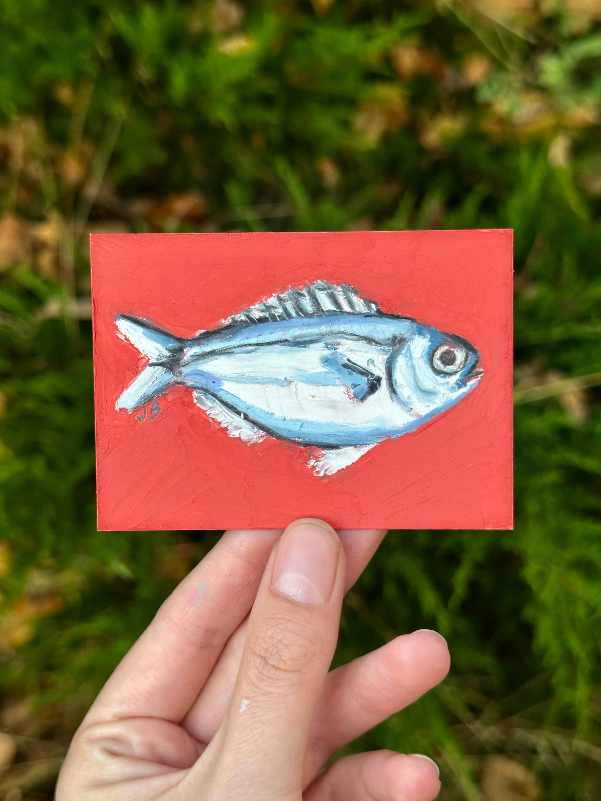 Scad fish ACEO (2.5x3.5”)