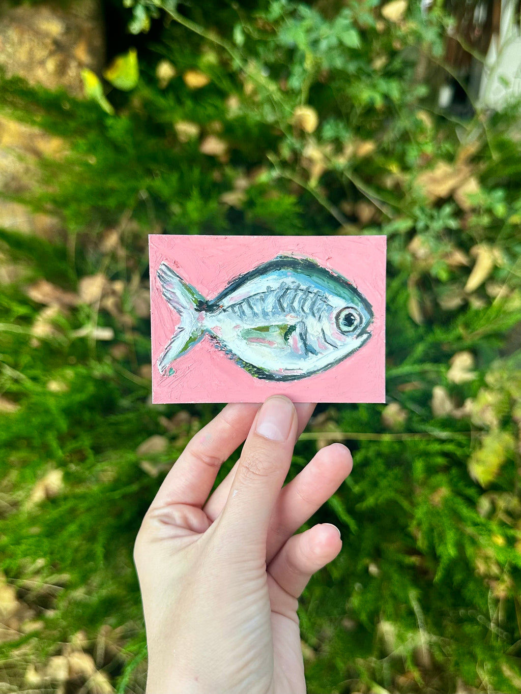 Pompano fish ACEO (2.5x3.5”)
