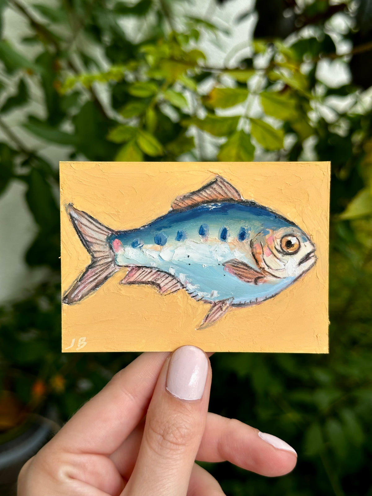 Clupea Alosa fish ACEO (2.5x3.5”)