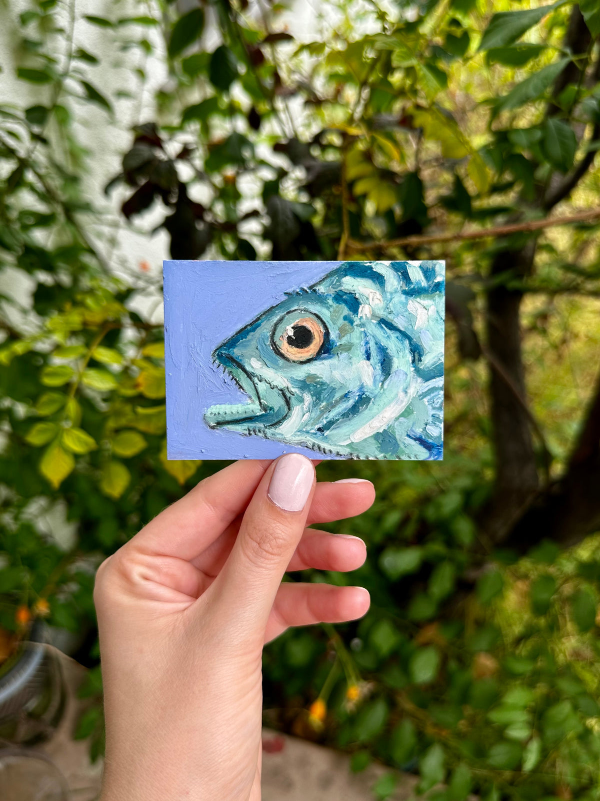 Atlantic Wreckfish ACEO (2.5x3.5”)