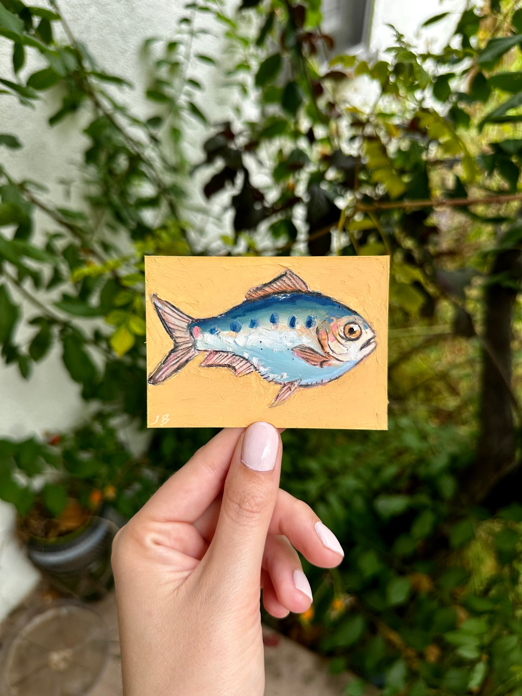 Clupea Alosa fish ACEO (2.5x3.5”)