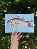 Bigeye Fish 6x9"