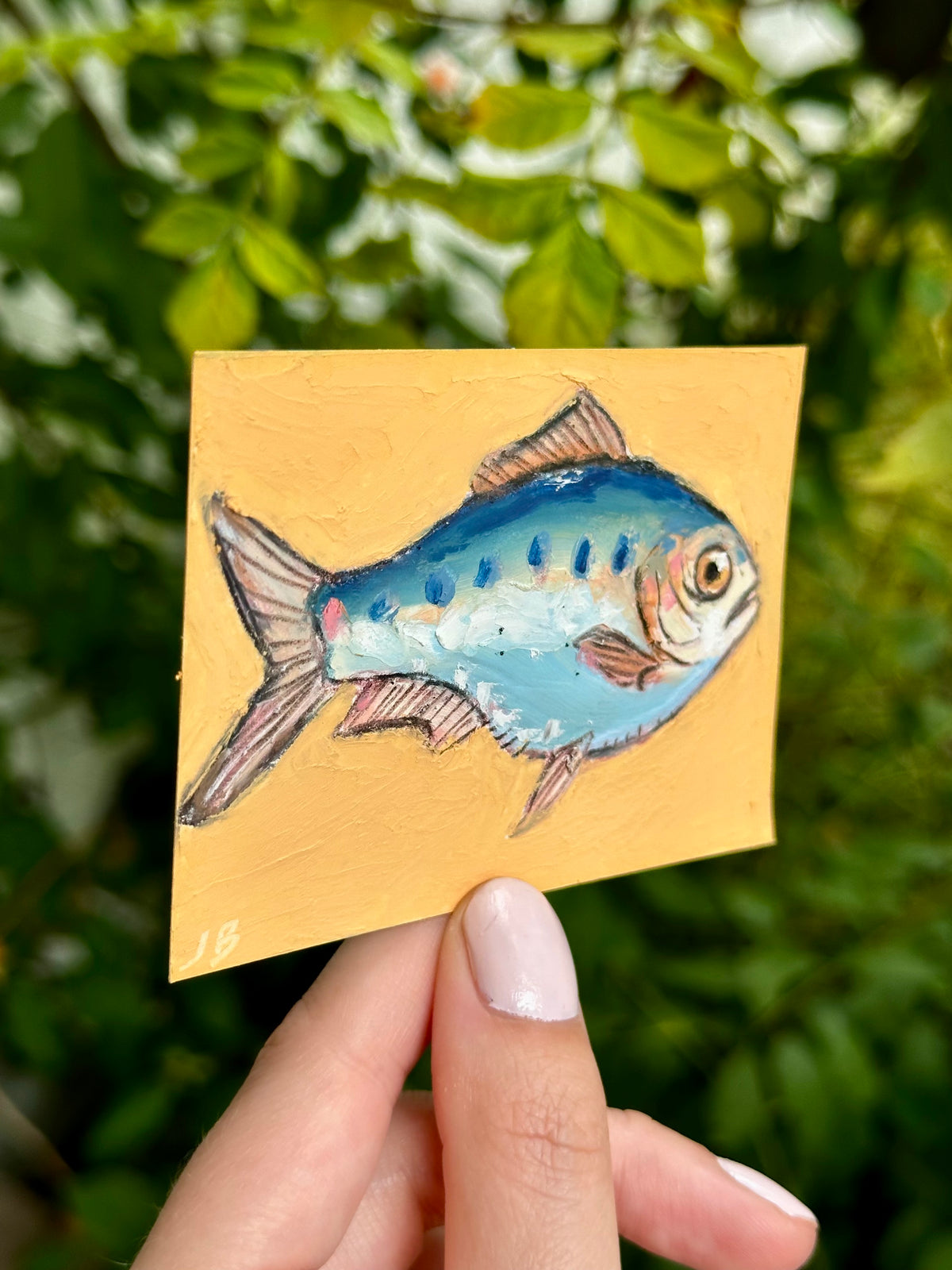 Clupea Alosa fish ACEO (2.5x3.5”)