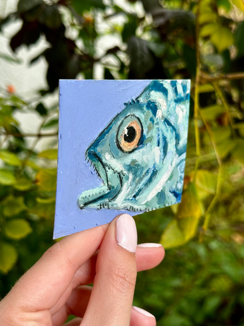 Atlantic Wreckfish ACEO (2.5x3.5”)