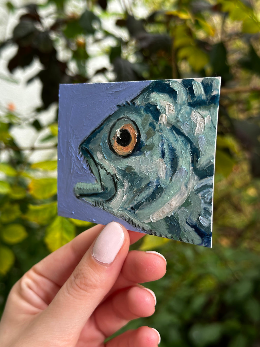Atlantic Wreckfish ACEO (2.5x3.5”)