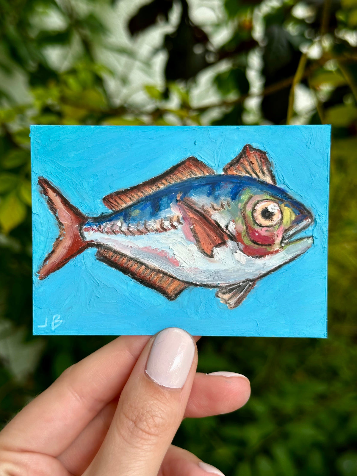 Scomber Trachurus fish ACEO (2.5x3.5”)