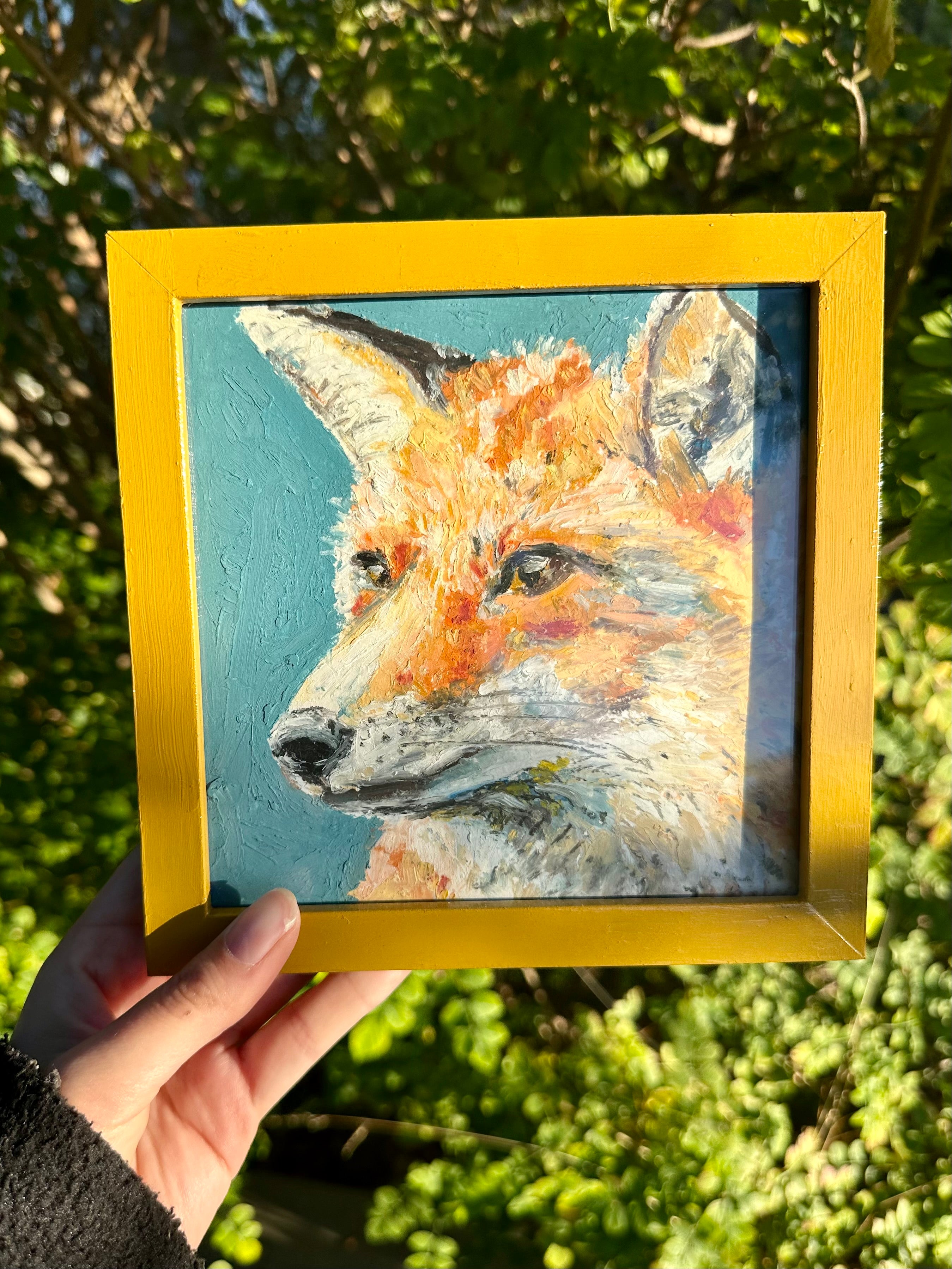 Fox 6x6” - Framed