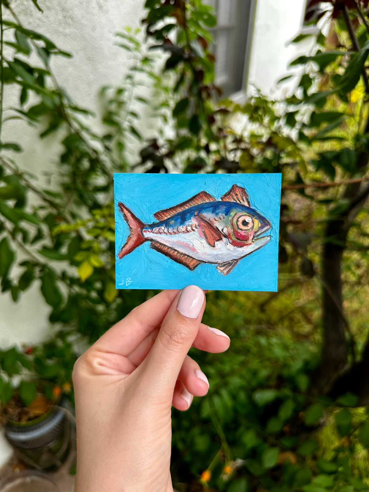 Scomber Trachurus fish ACEO (2.5x3.5”)