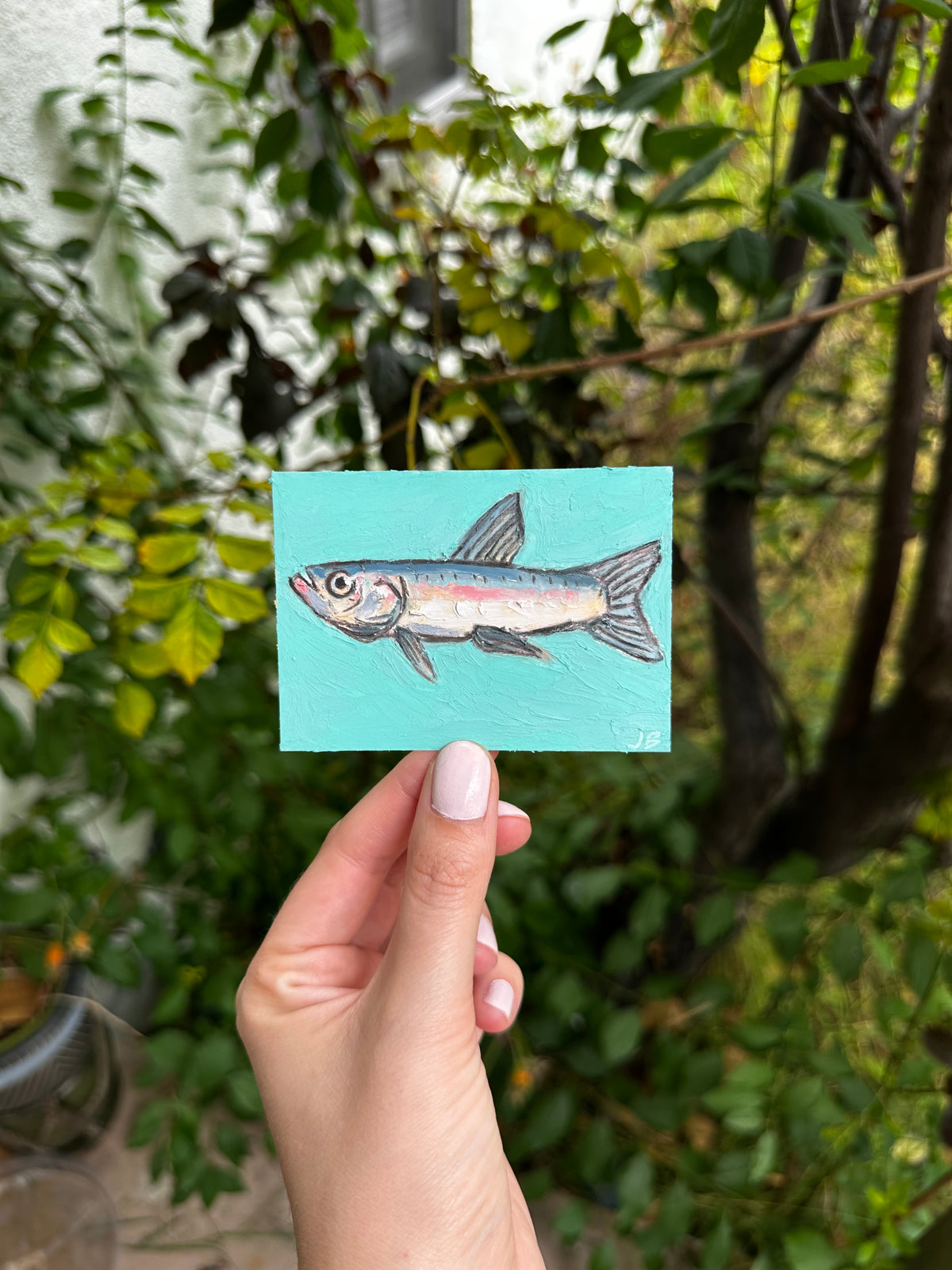 Ladyfish ACEO (2.5x3.5”)