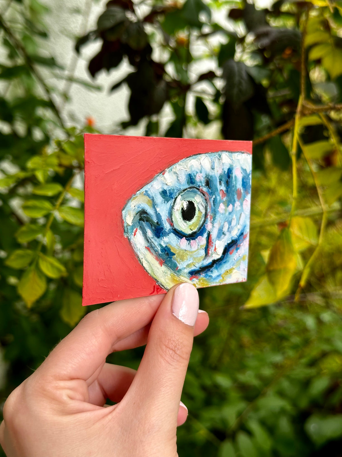 Cichlid fish ACEO (2.5x3.5”)