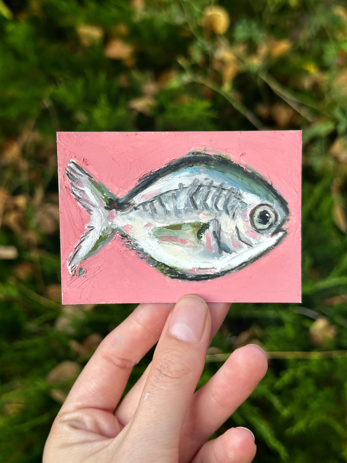 Pompano fish ACEO (2.5x3.5”)
