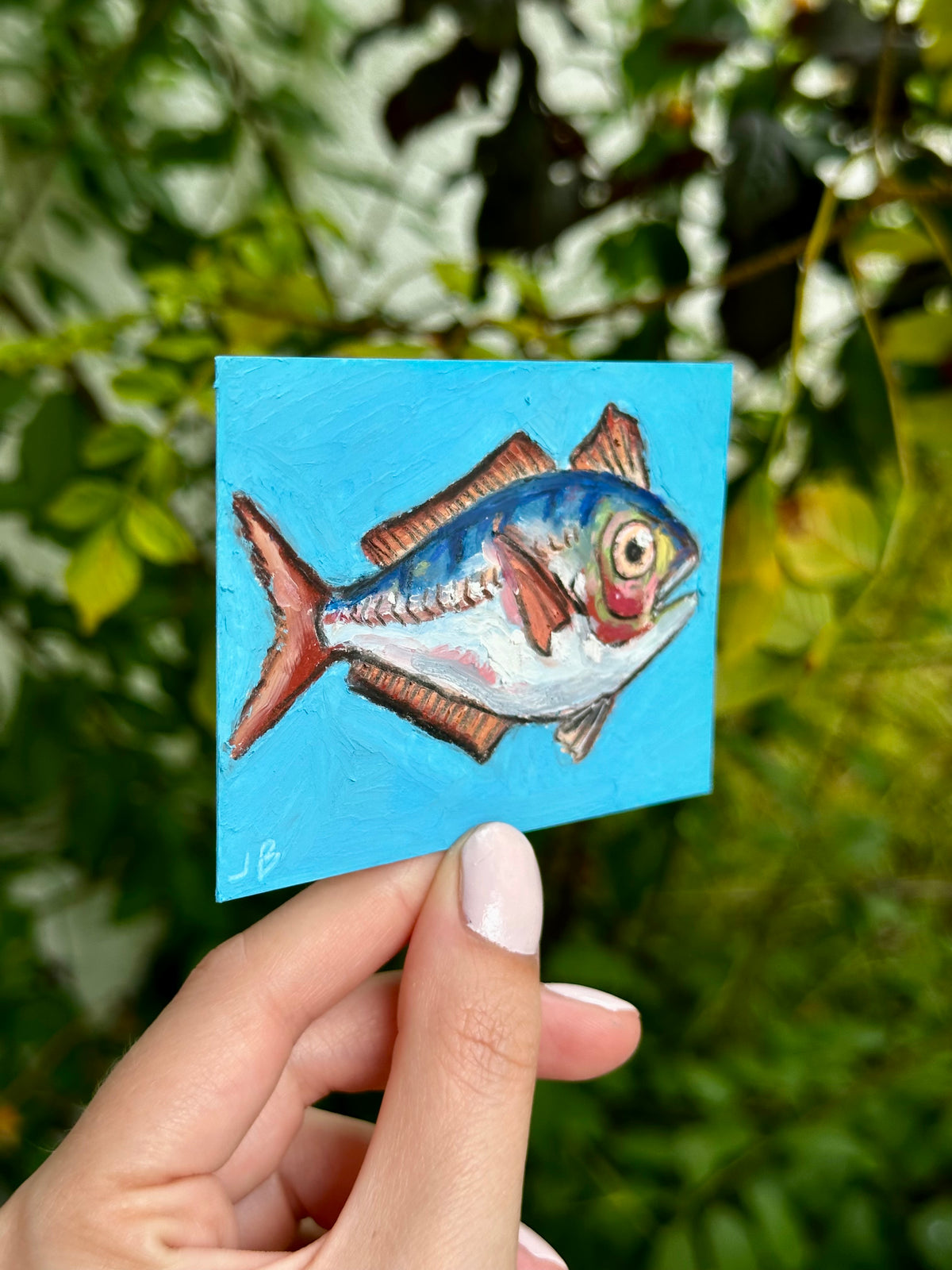 Scomber Trachurus fish ACEO (2.5x3.5”)