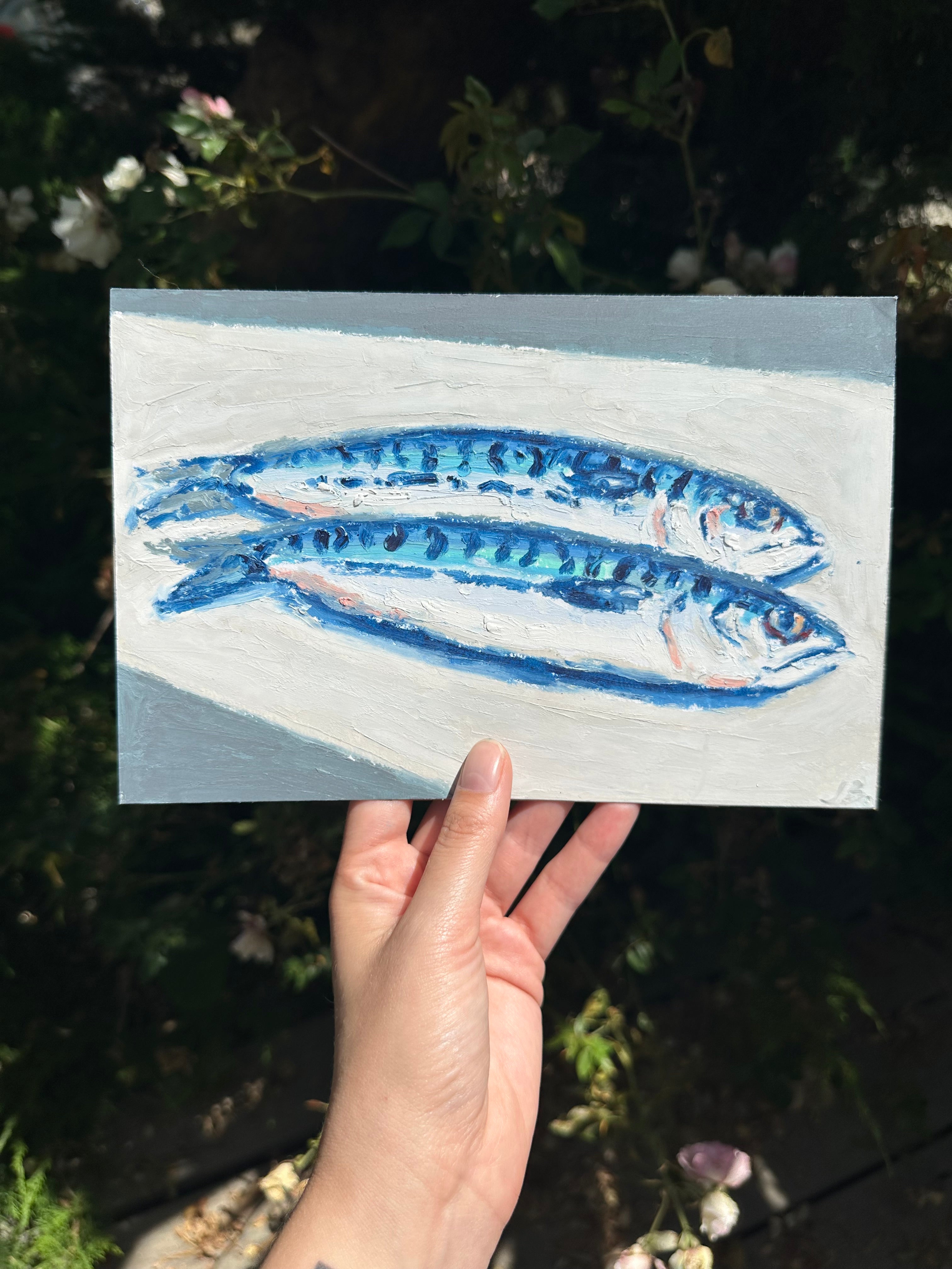 Mackerel 6x9”