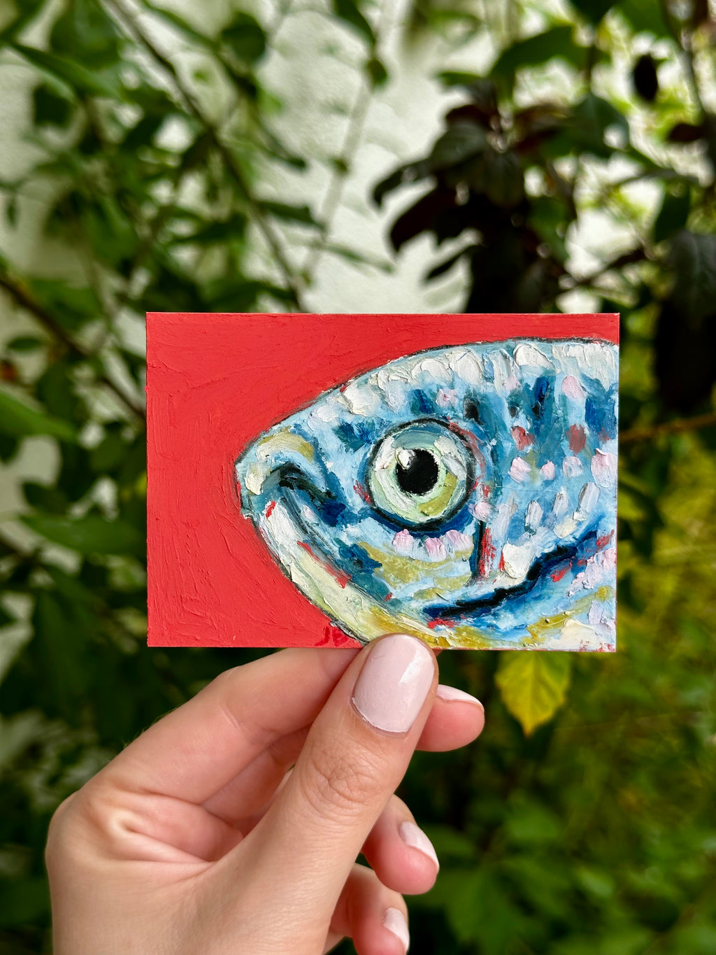 Cichlid fish ACEO (2.5x3.5”)