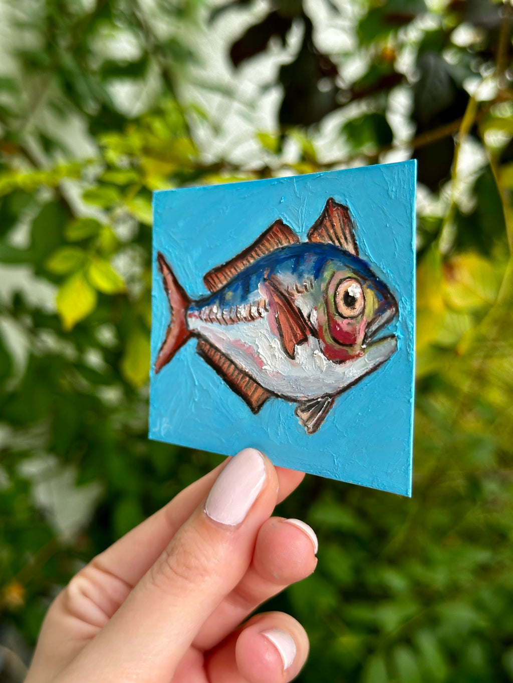 Scomber Trachurus fish ACEO (2.5x3.5”)