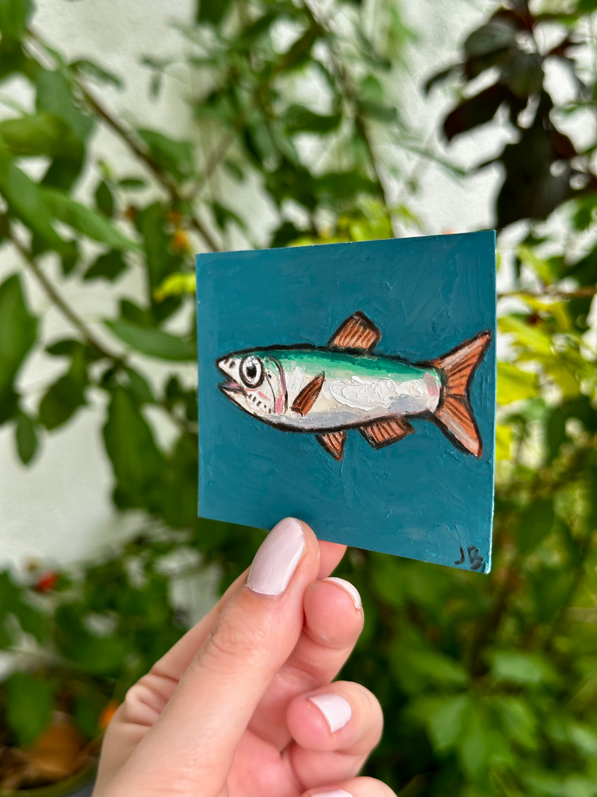 Anchovy ACEO (2.5x3.5”)
