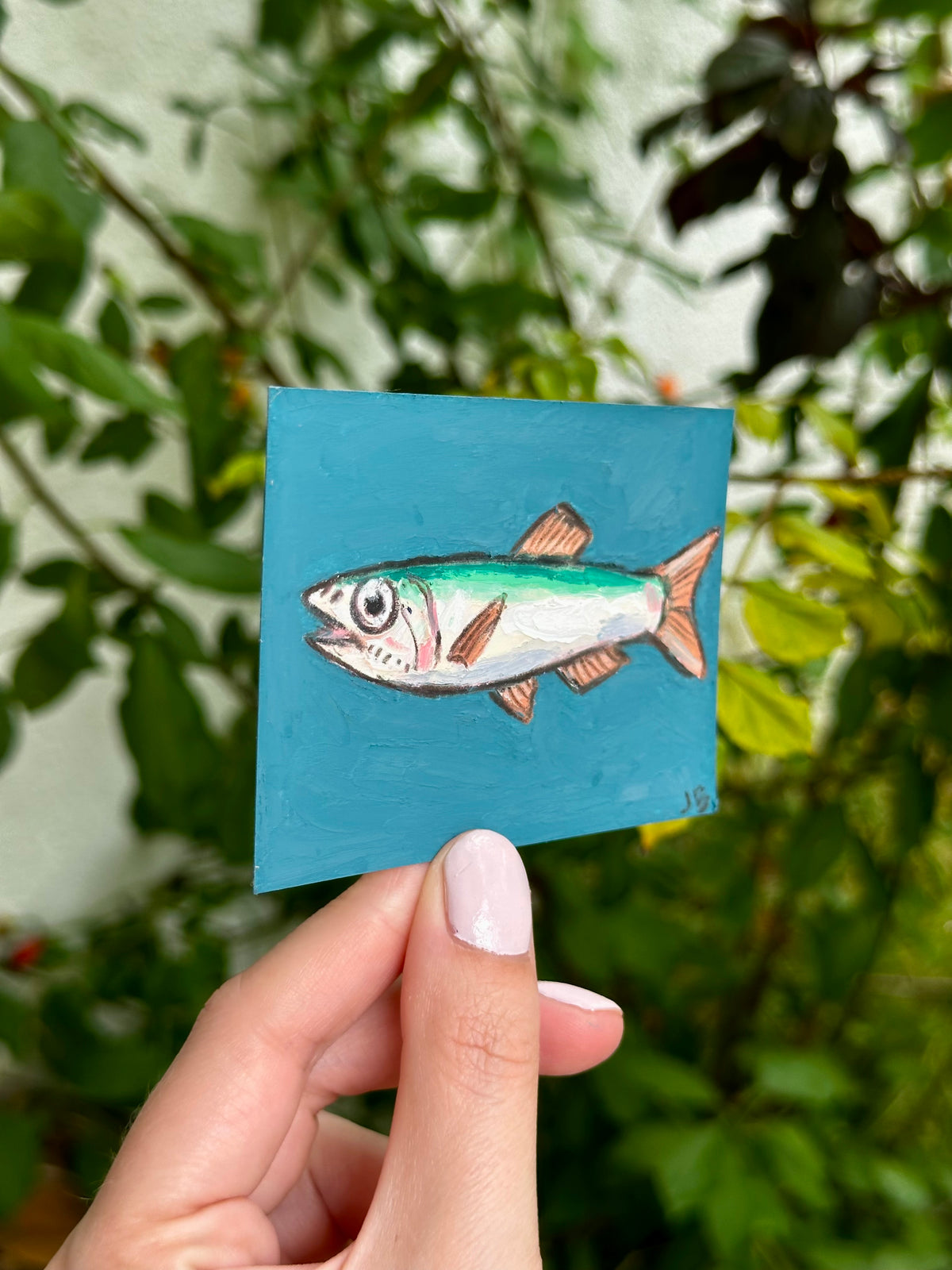 Anchovy ACEO (2.5x3.5”)