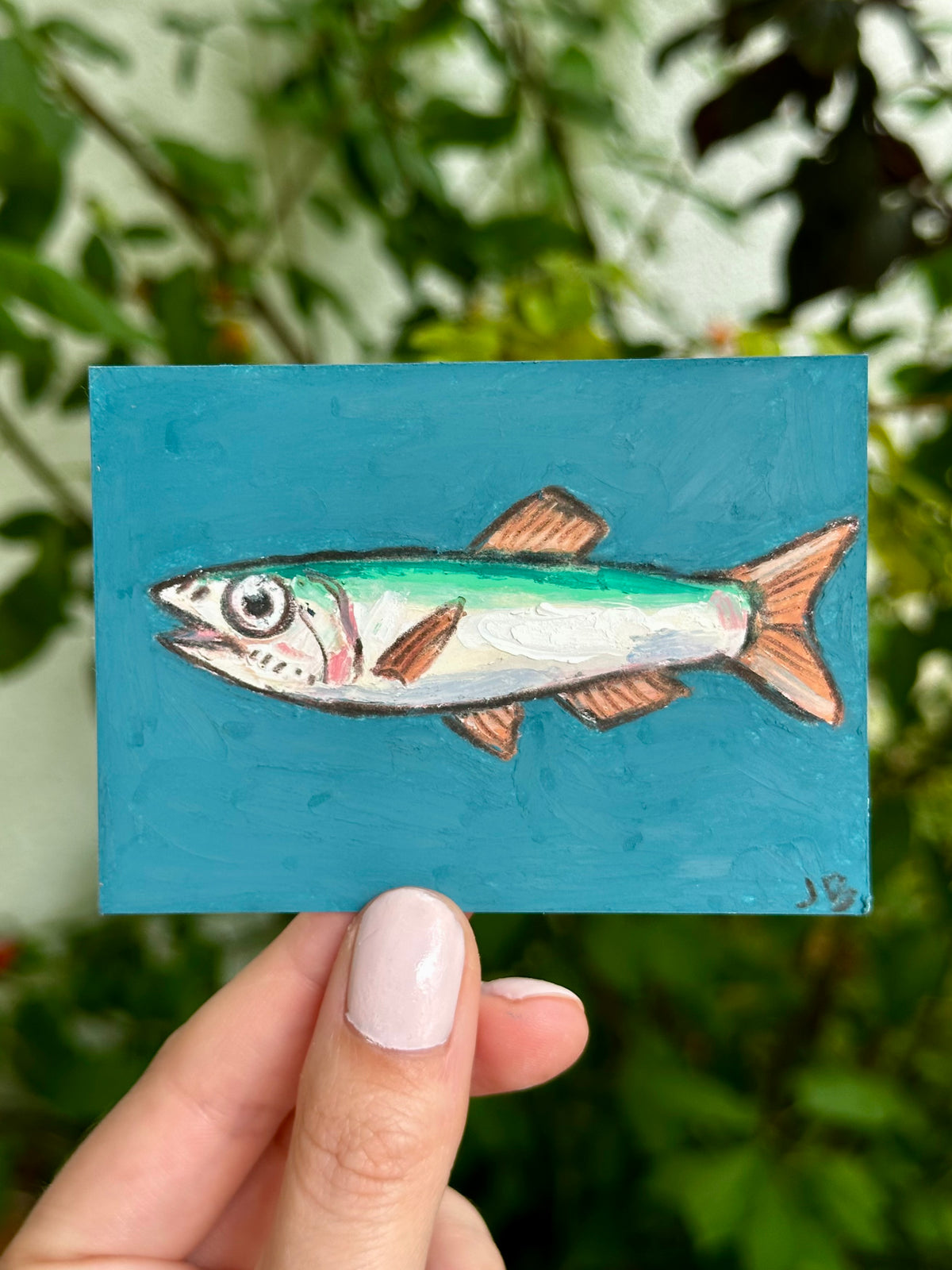 Anchovy ACEO (2.5x3.5”)