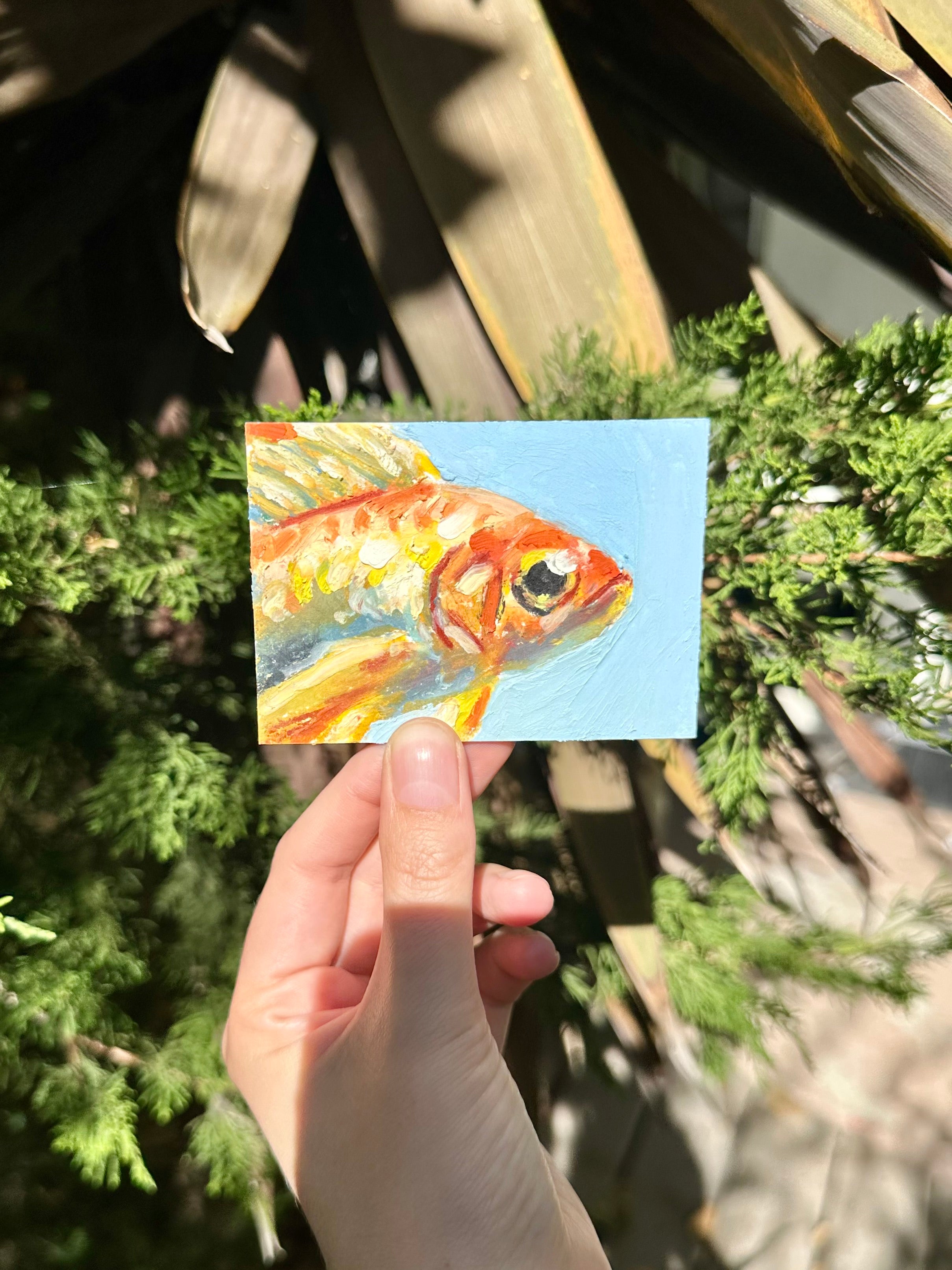 Auction Bid Winner - Goldfish