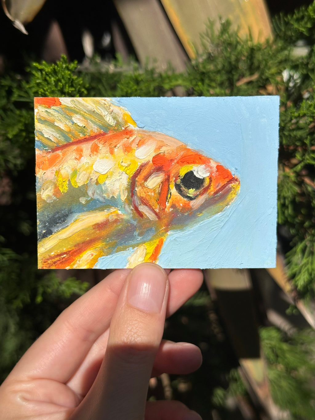 Auction Bid Winner - Goldfish