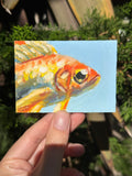 Auction Bid Winner - Goldfish
