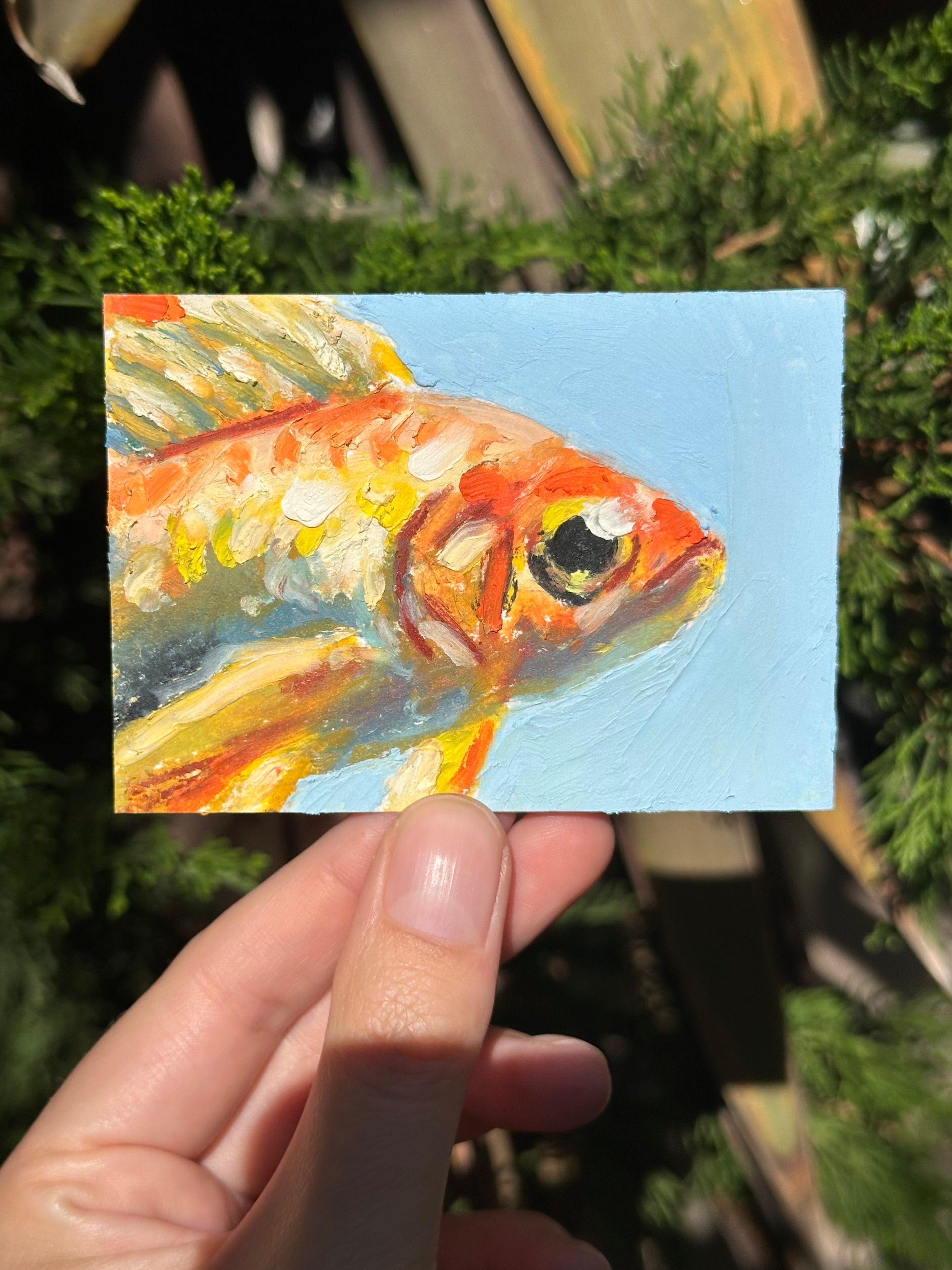 Auction Bid Winner - Goldfish