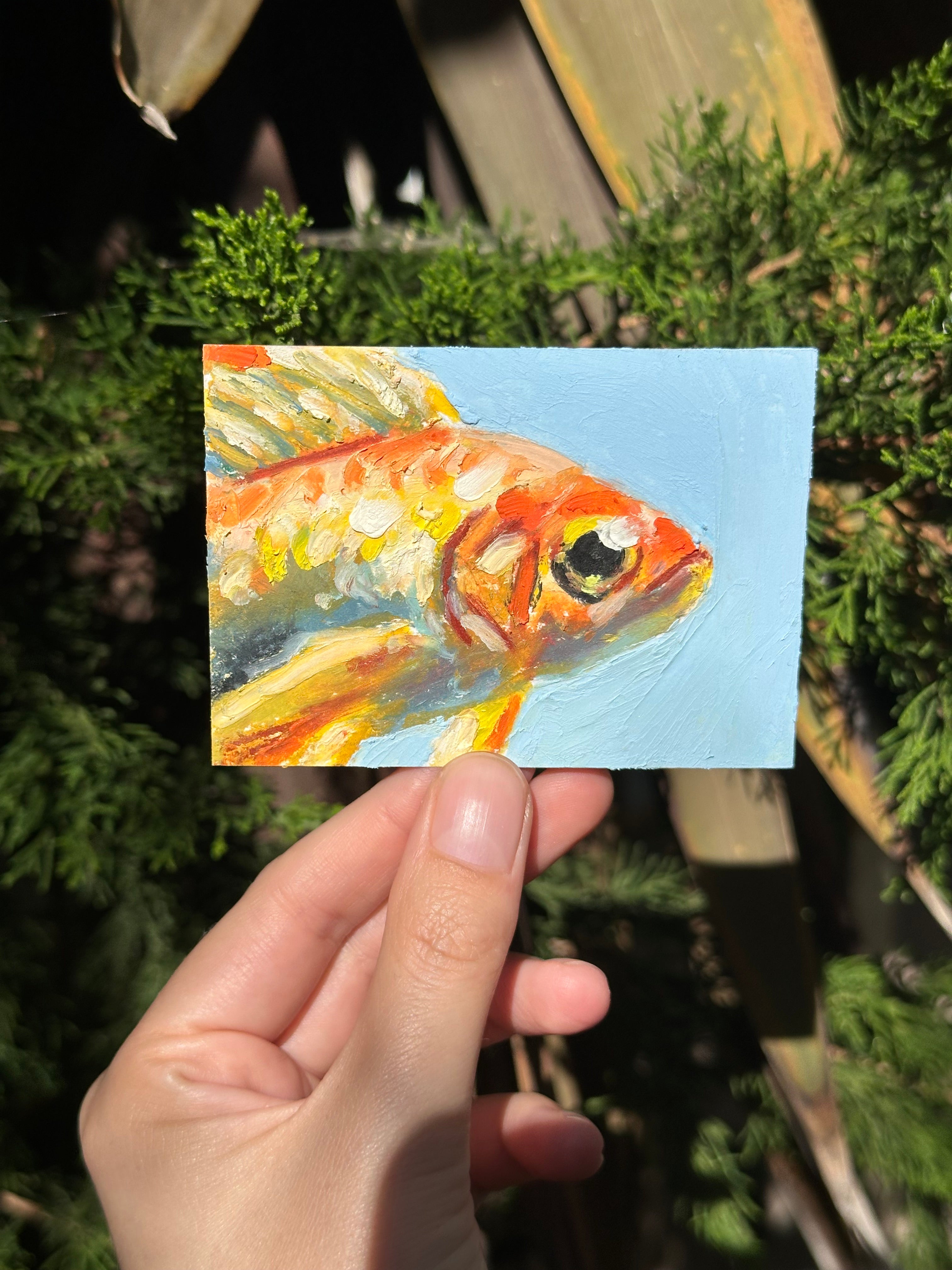 Auction Bid Winner - Goldfish