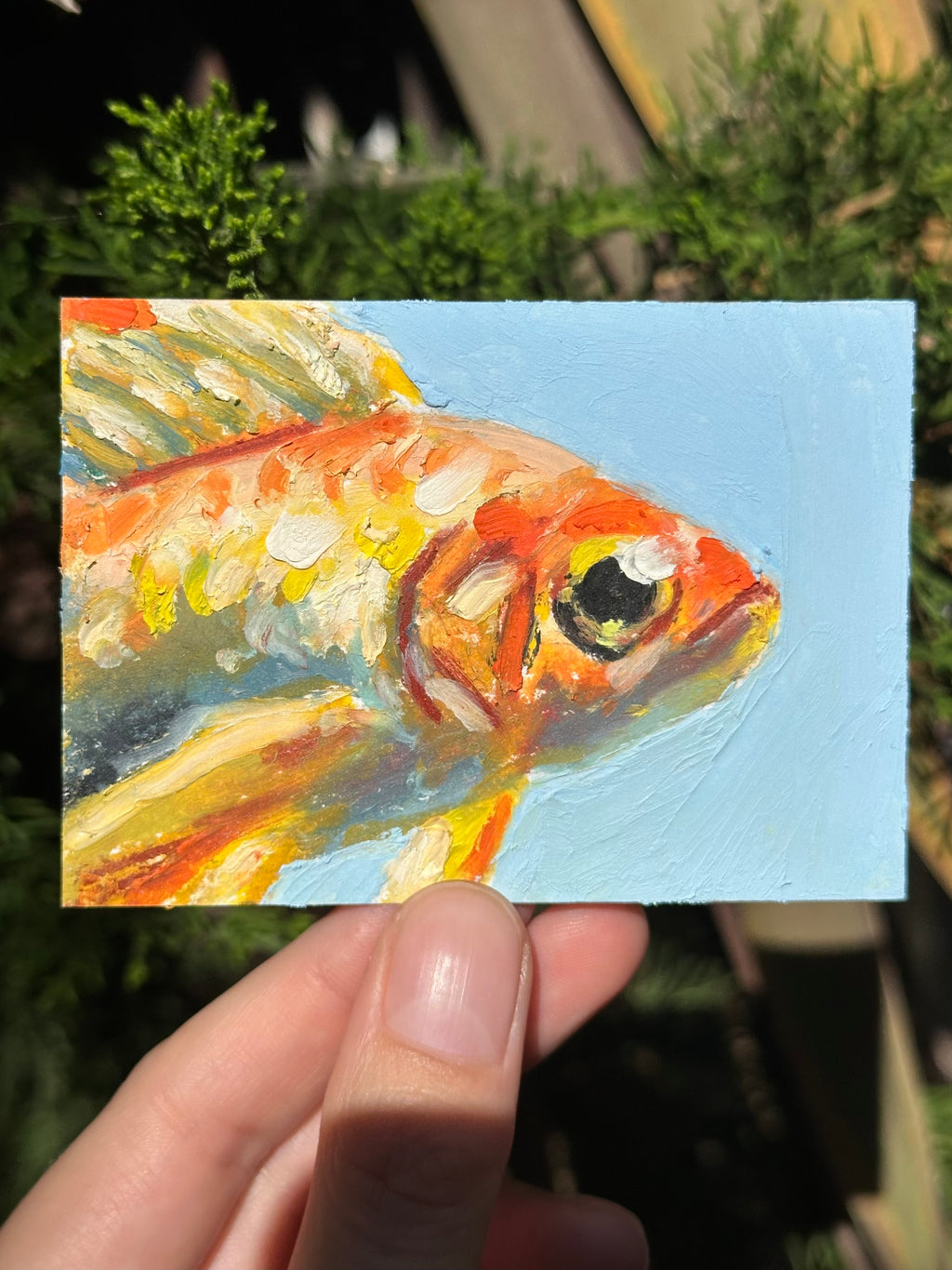 Auction Bid Winner - Goldfish