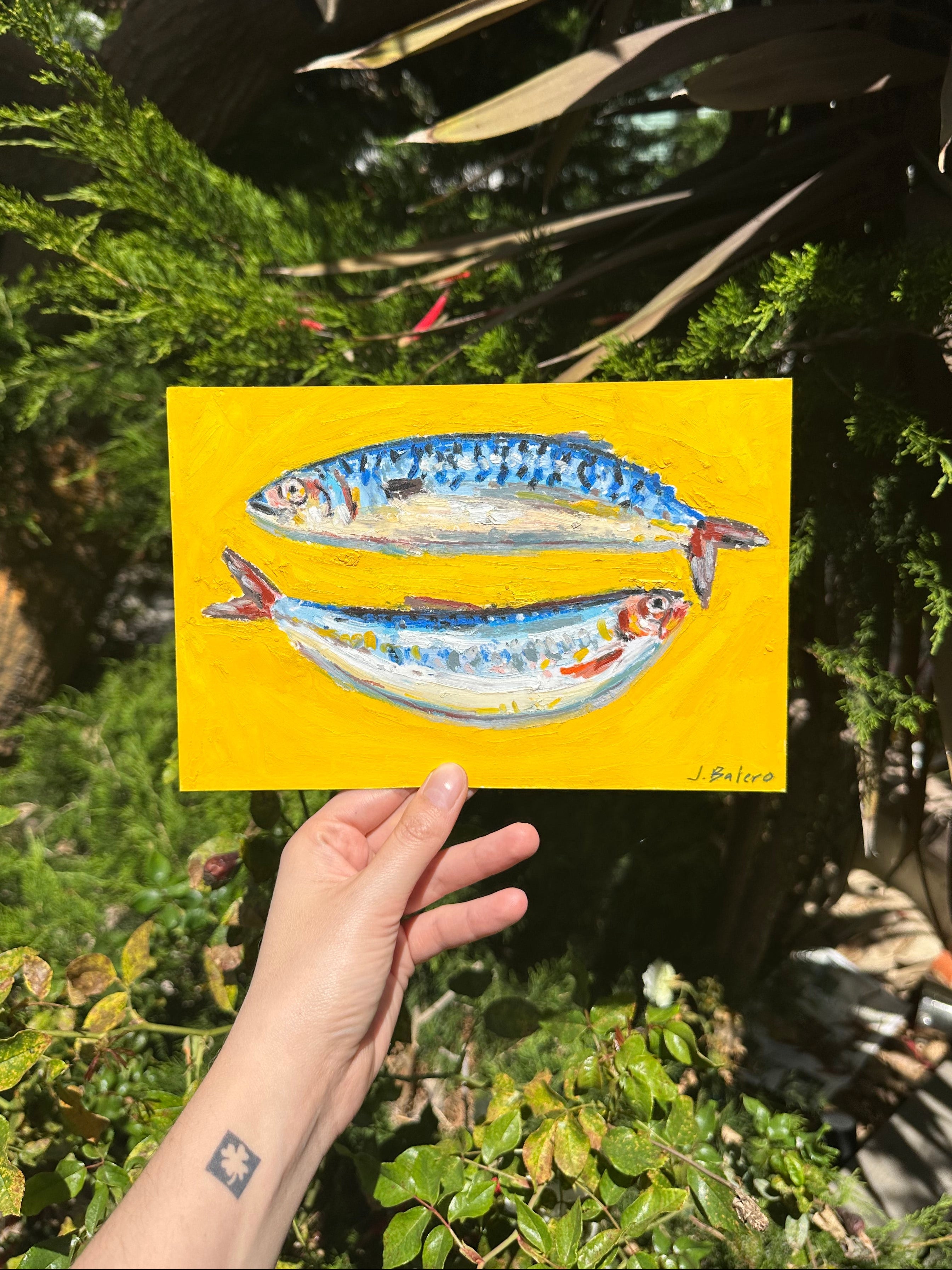 Mackerel & Sardine 6x9"