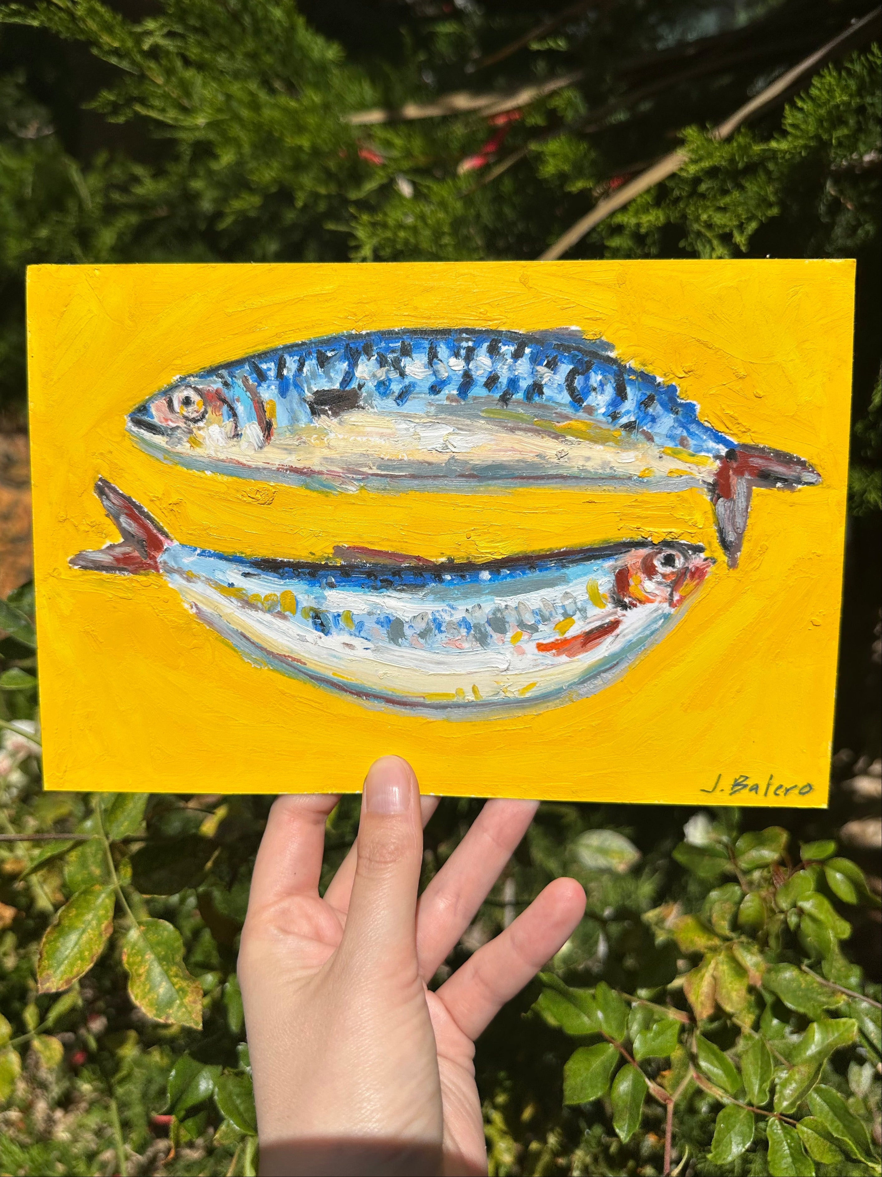 Mackerel & Sardine 6x9"