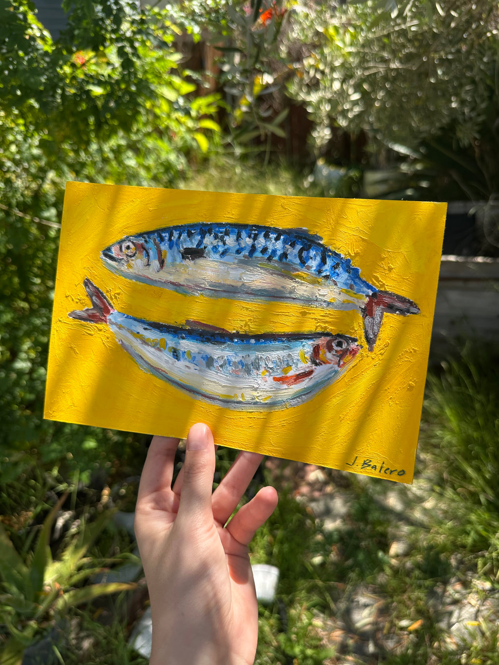 Mackerel & Sardine 6x9"