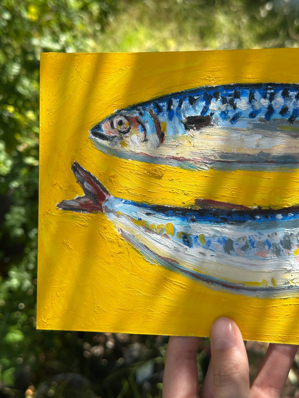 Mackerel & Sardine 6x9"