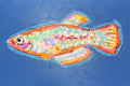 Medaka Fish 6x9"