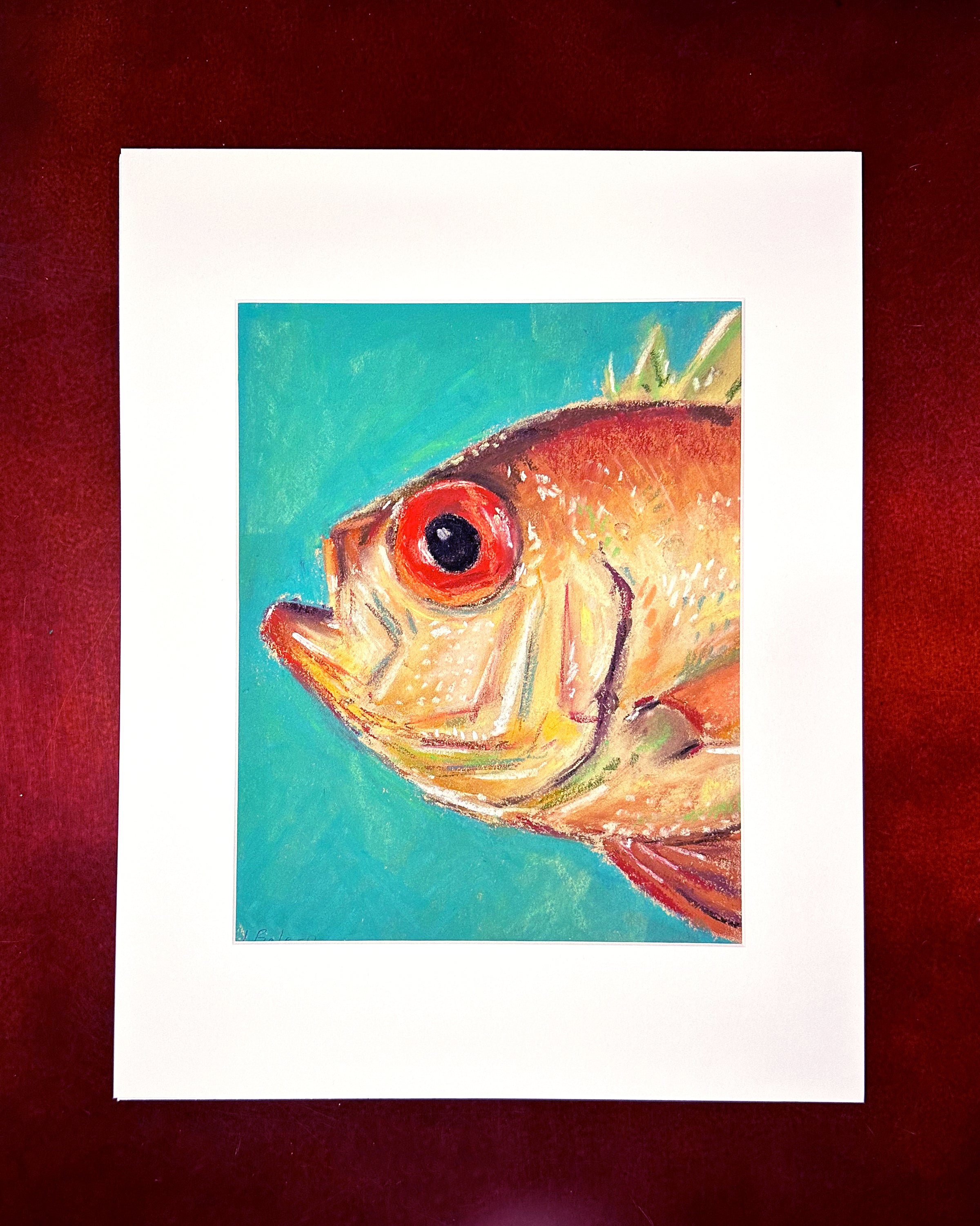 "Pastel Bigeye" - Original Soft Pastel Artwork 11x14" Matted