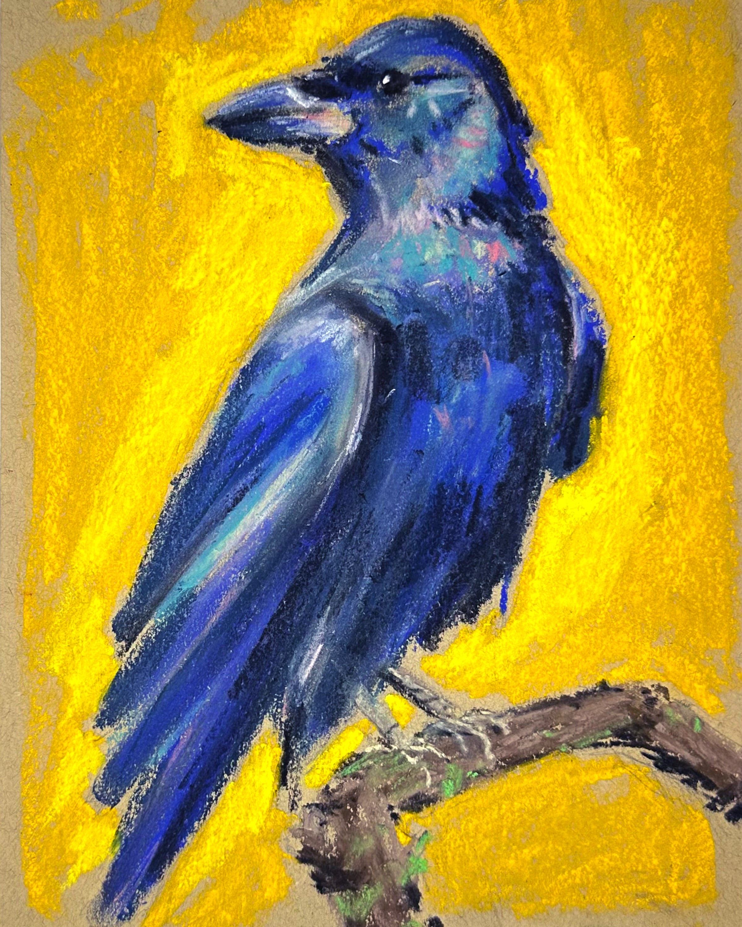 "Blue Crow" - Original Soft Pastel Artwork 11x14" Matted