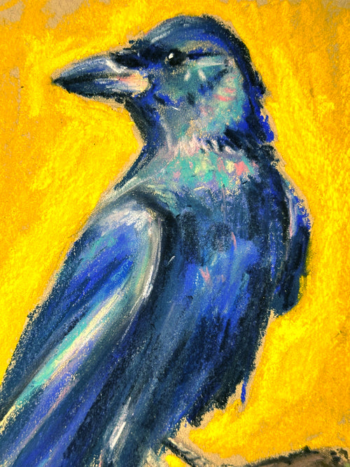 "Blue Crow" - Original Soft Pastel Artwork 11x14" Matted
