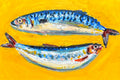Mackerel & Sardine 6x9"