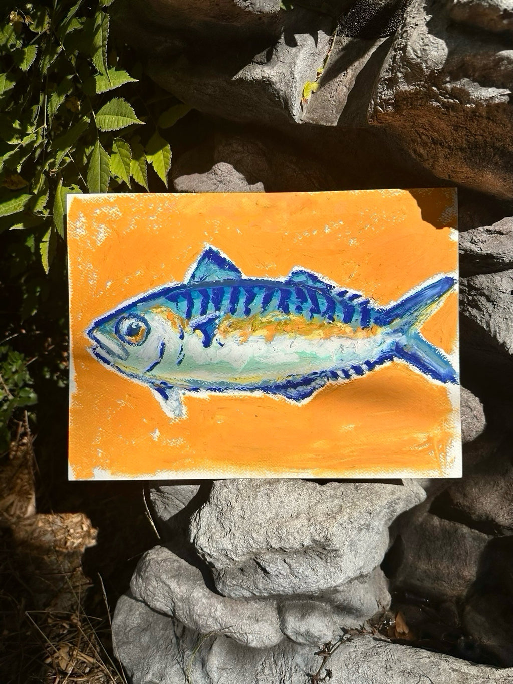 Mackerel in an Orange Sea