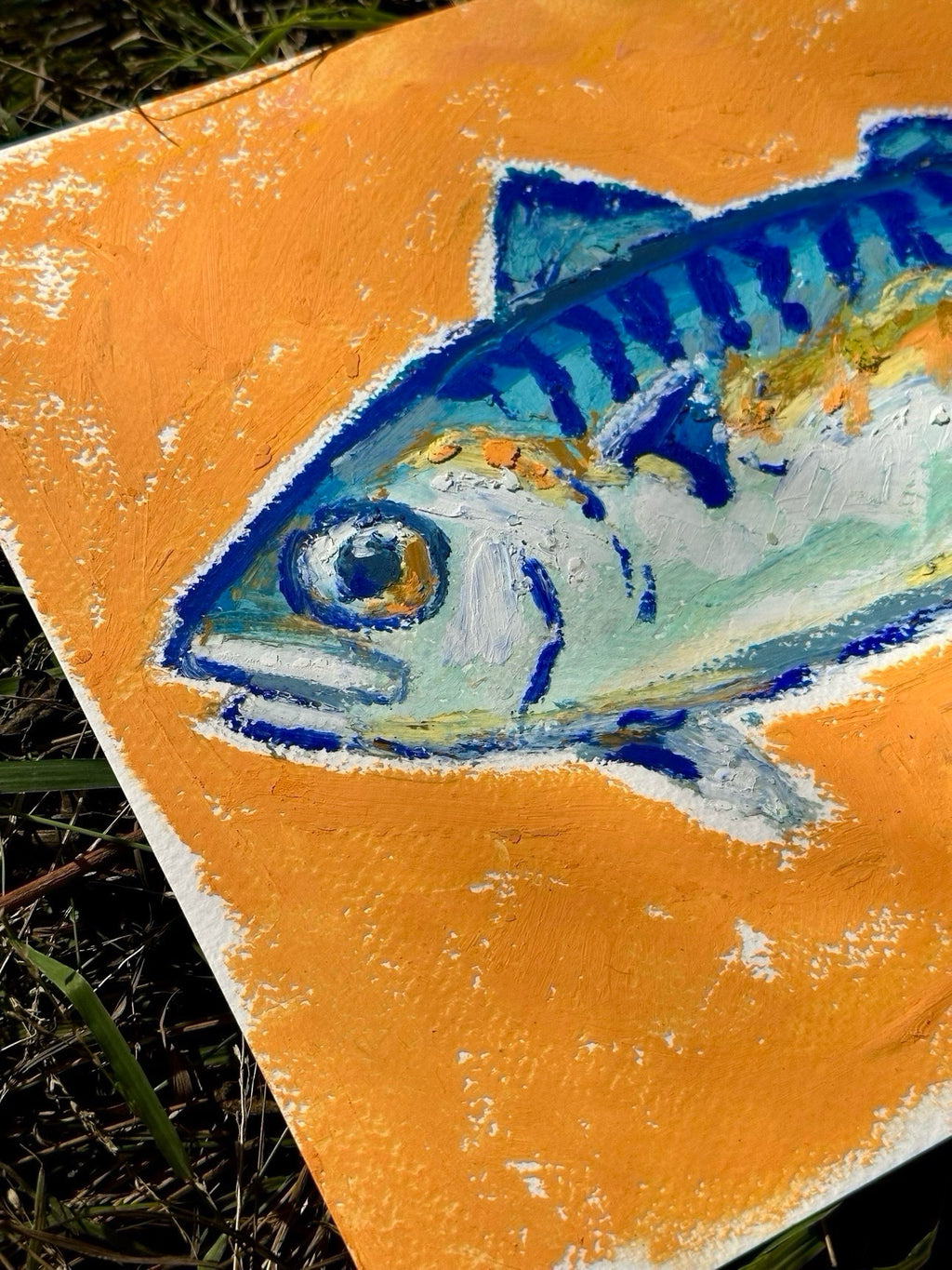 Mackerel in an Orange Sea