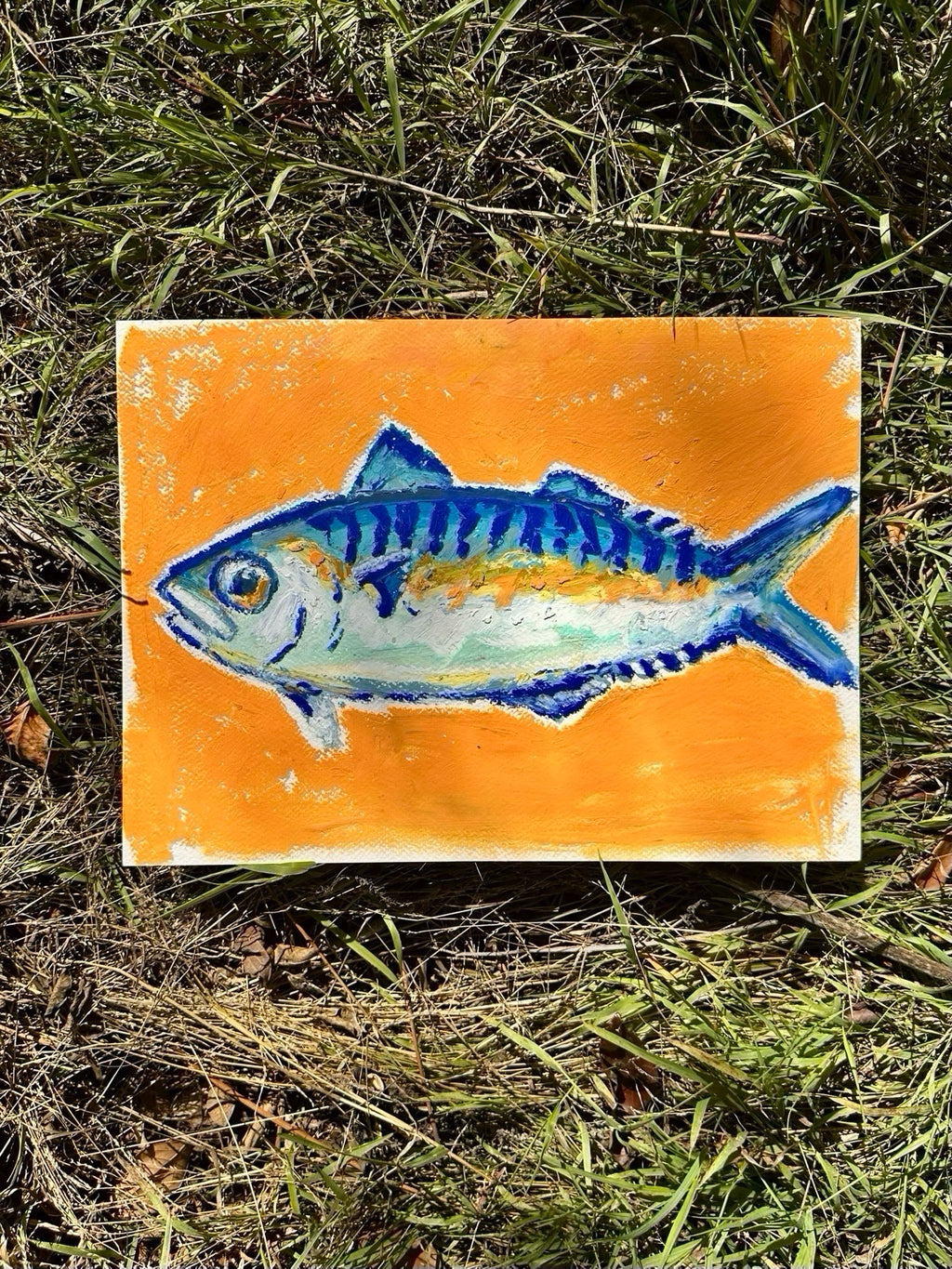 Mackerel in an Orange Sea
